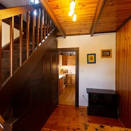 Apartament Ptasie Gniazdo Okrezna *
