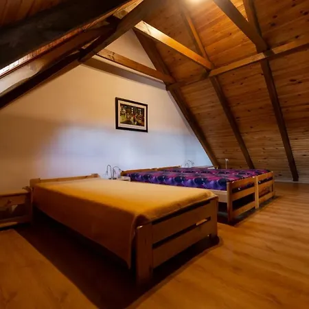 Apartament Ptasie Gniazdo Okrezna * Mikołajki